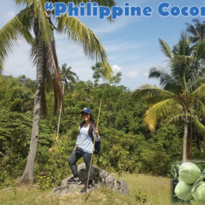 “フィリピンのココナッツ”