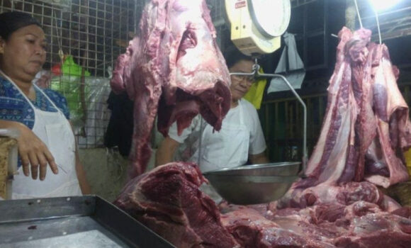 回収された1000キログラムの肉